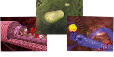 Exemple de création d'images de synthèse 3D scientifiques