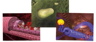 Example of creation of scientific 3D images